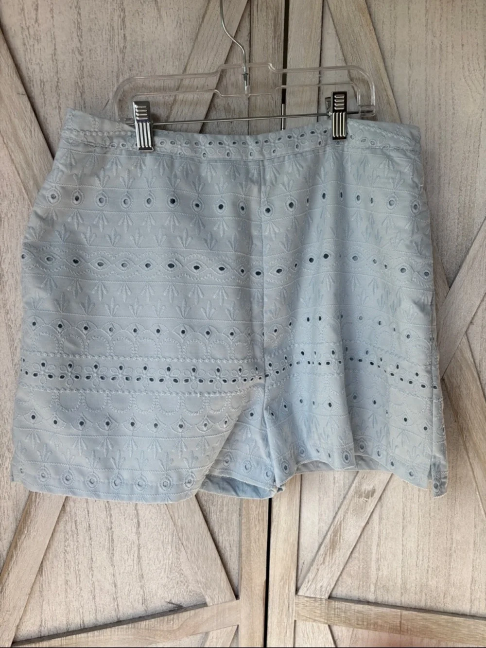 Blue Rain by Francesca's Light Blue Eyelet Lace Shorts - Large
